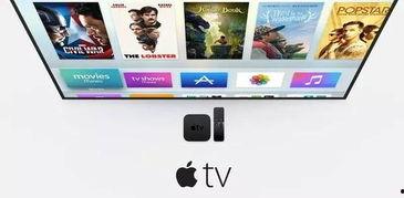 国产啪tv,探索“啪tv”的独特魅力  第2张